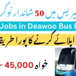 Daewoo Express Jobs 2025