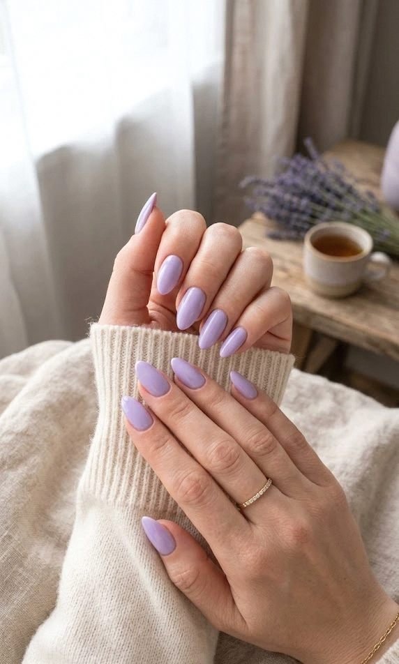 lavender dreams